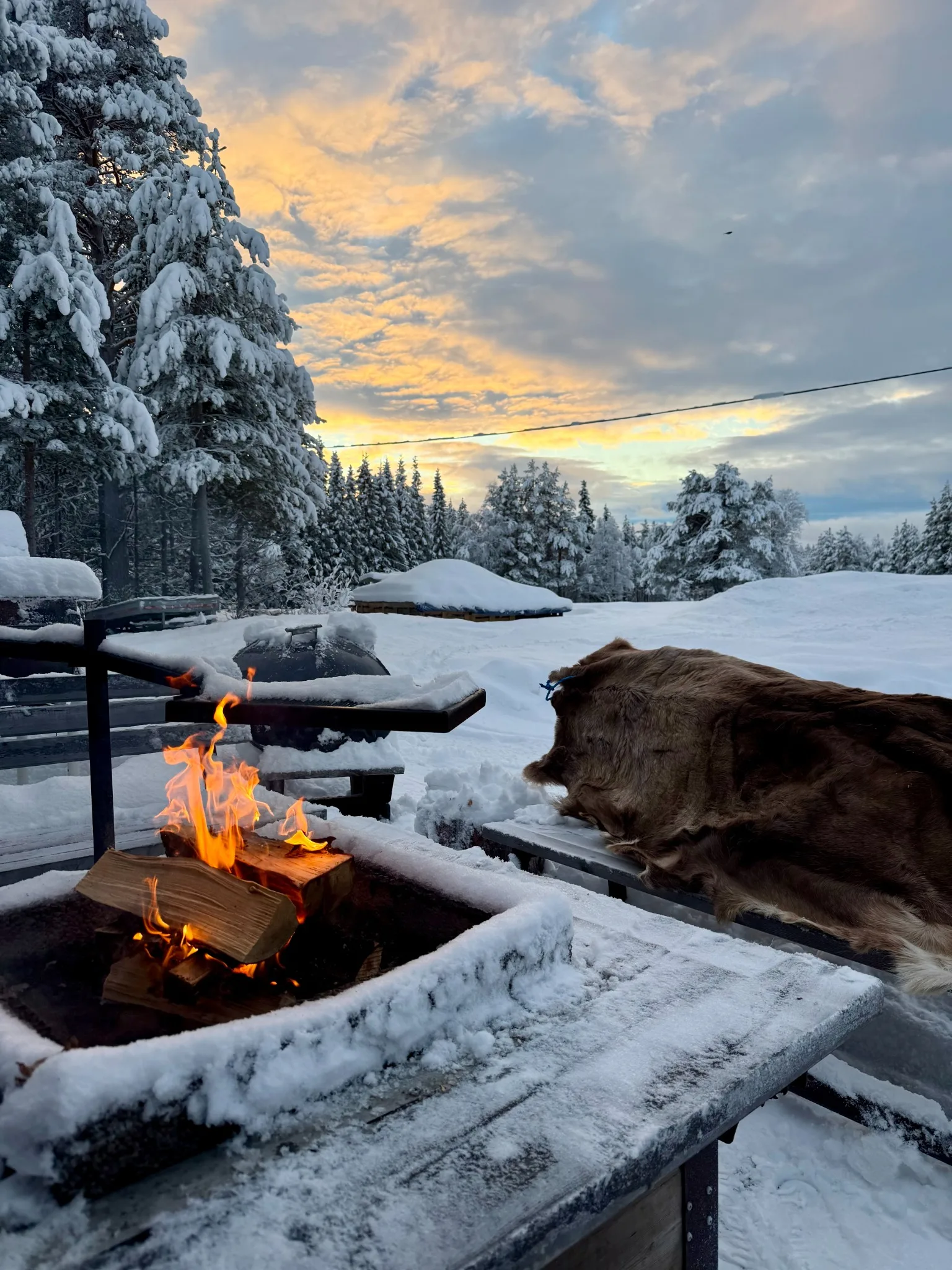 Eld i vinterlandskap, Thereses fotografi