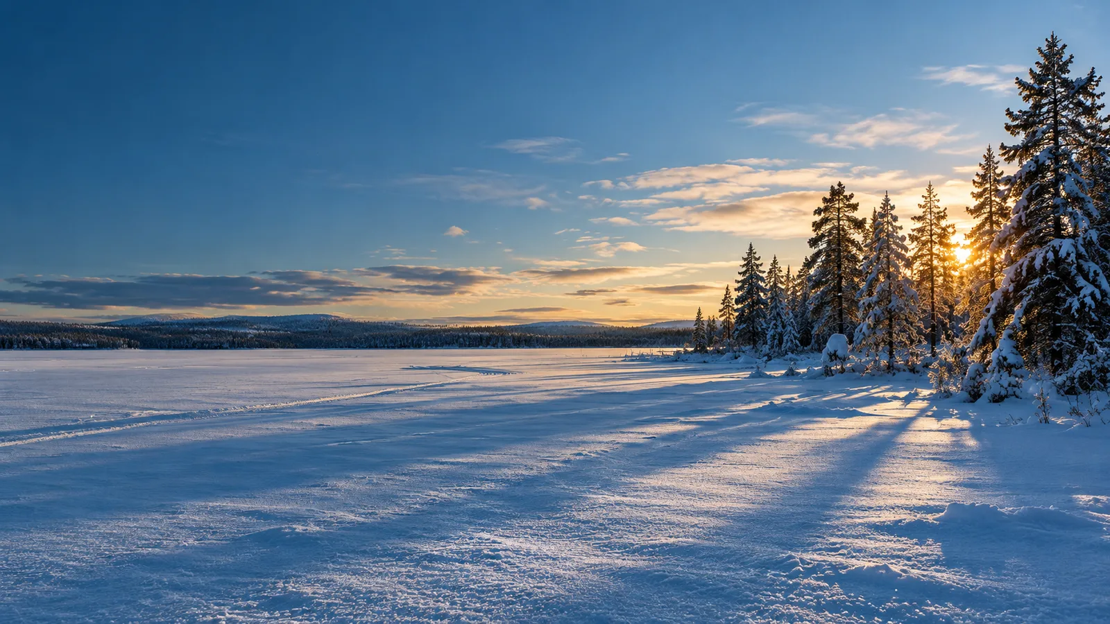 Vinterlandskap i varmt ljus